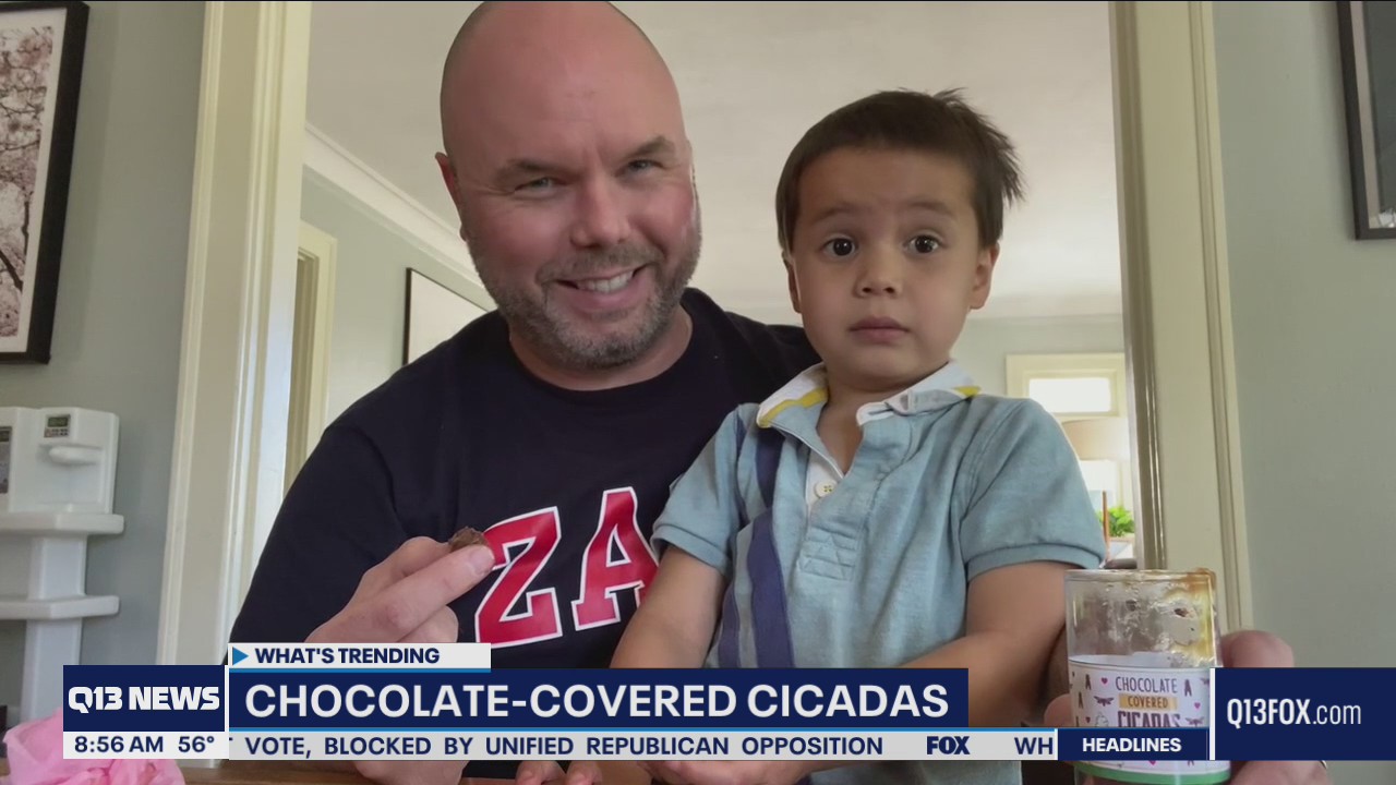 Sharing is caring when it comes to chocolate-covered cicadas
