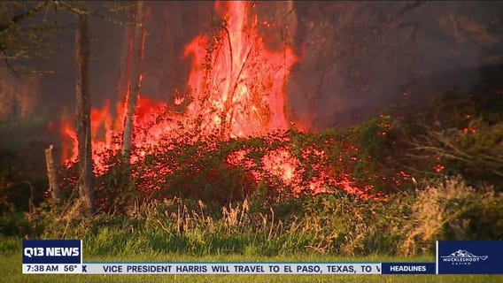 Extreme weather and wildfire risks