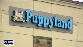 Renton Puppyland receiving complaints
