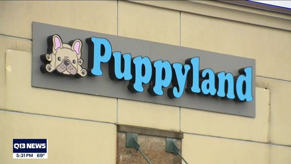 Renton Puppyland receiving complaints