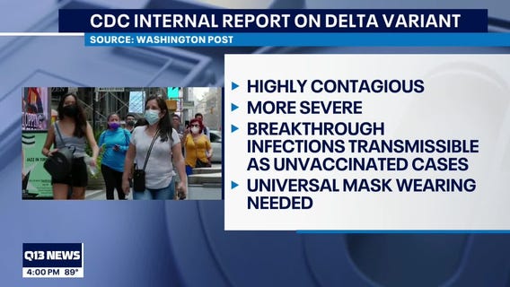 CDC documents claim delta variant is contagious as chicken pox