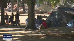 Homeless camp clean up at City Hall Park