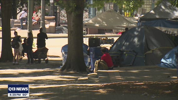 Homeless camp clean up at City Hall Park