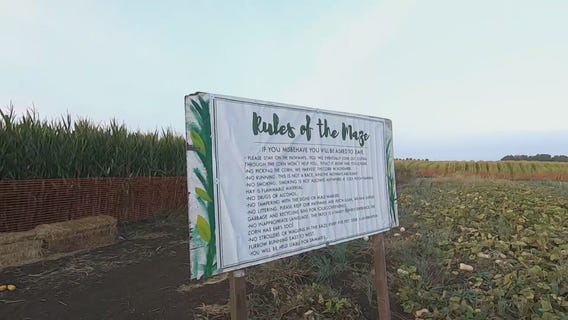 KTVU's James Torrez tries to escape Dixon's massive corn maze on Halloween