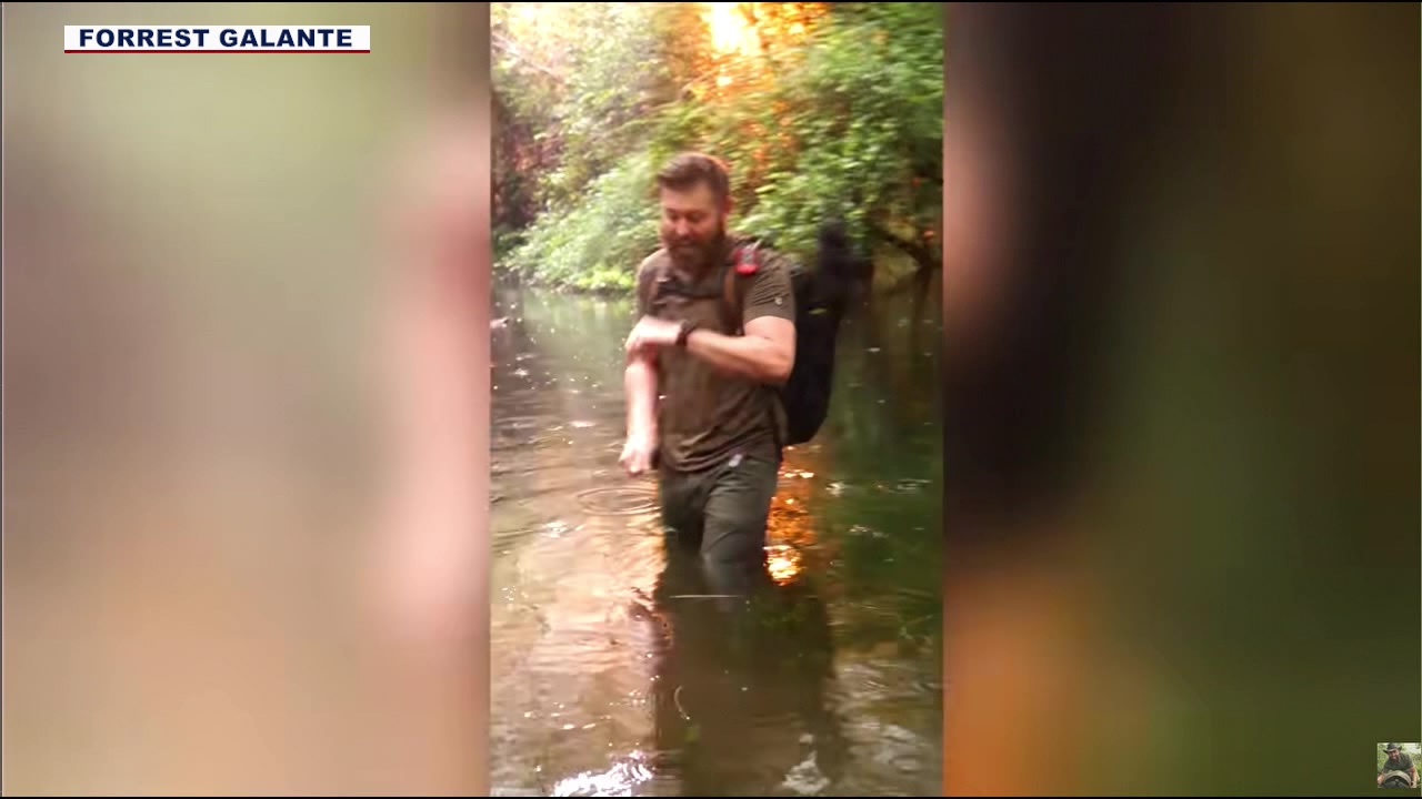 Florida biologist says he was struck by lightning