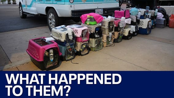 Small animals sent to Tucson went missing