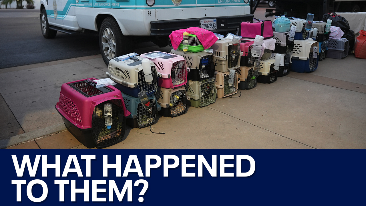 Small animals sent to Tucson went missing