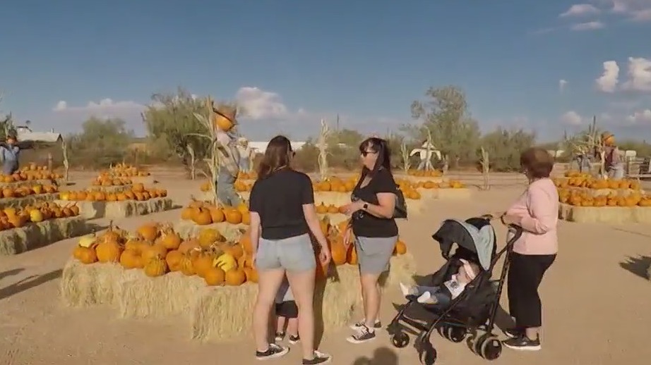 Fall in full swing at Scottsdale's MacDonald's Ranch