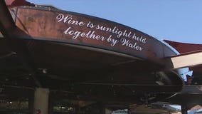 Merkin Vineyards Hilltop Winery & Trattoria