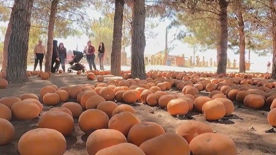 'Hotober': Another heat record broken in October in Phoenix