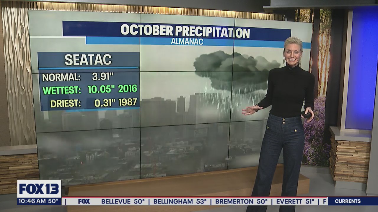 Heavy rain and strong winds ahead