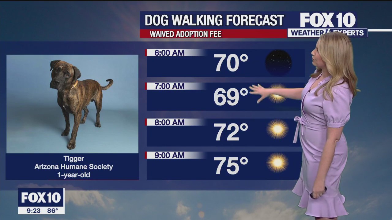 Evening Weather Forecast - 10/22/23