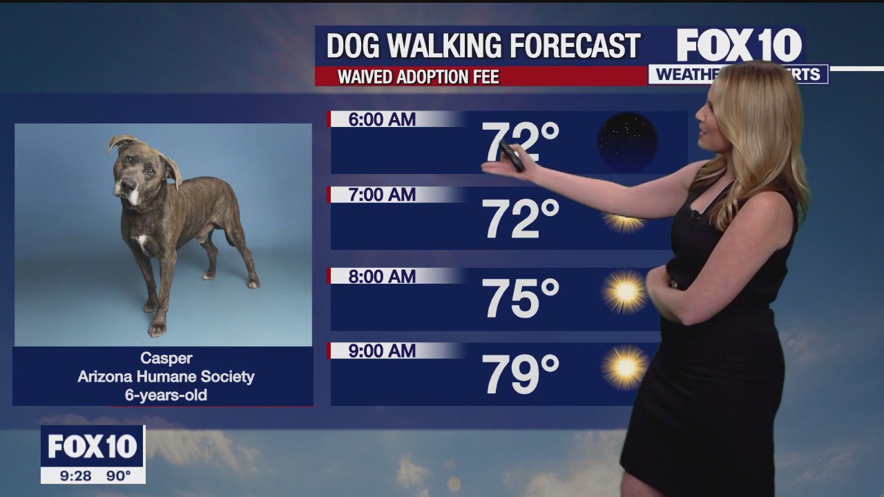 Evening Weather Forecast - 10/21/23