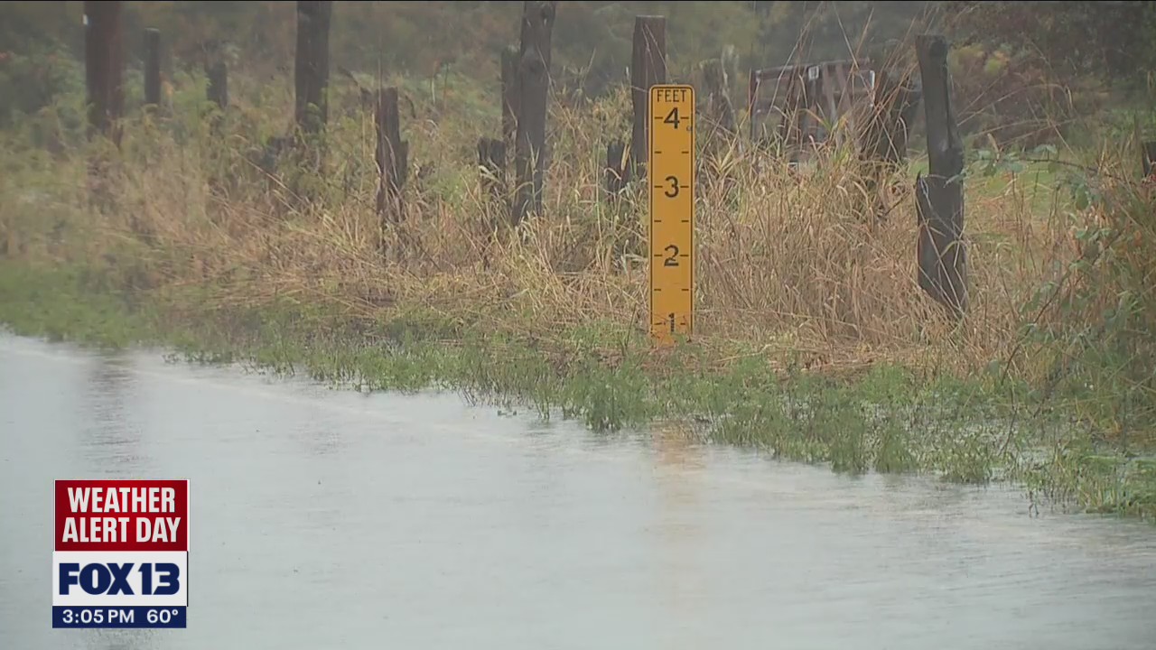 Skokomish River rises above flood stage in Mason County