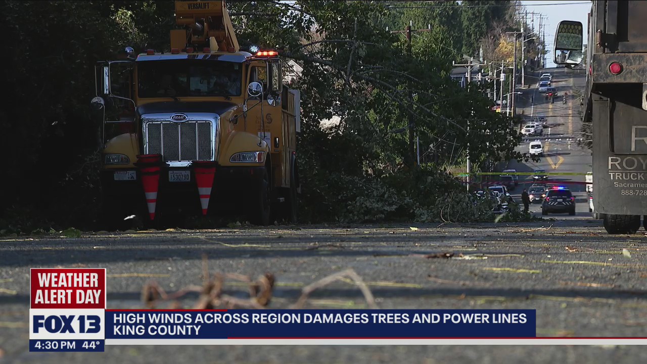 High winds across region damage trees and power lines