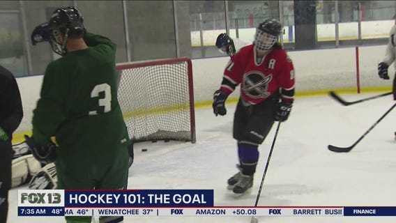 Hockey 101: The Goal