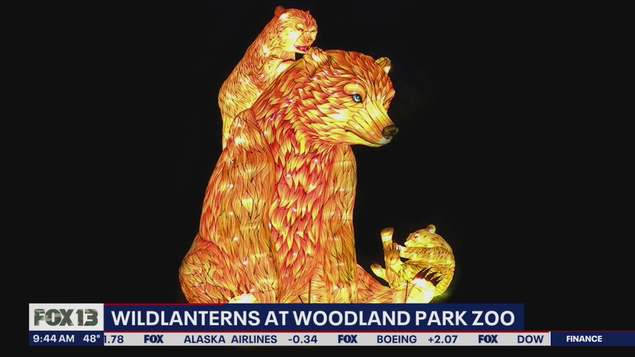 Family-friendly events at Woodland Park Zoo