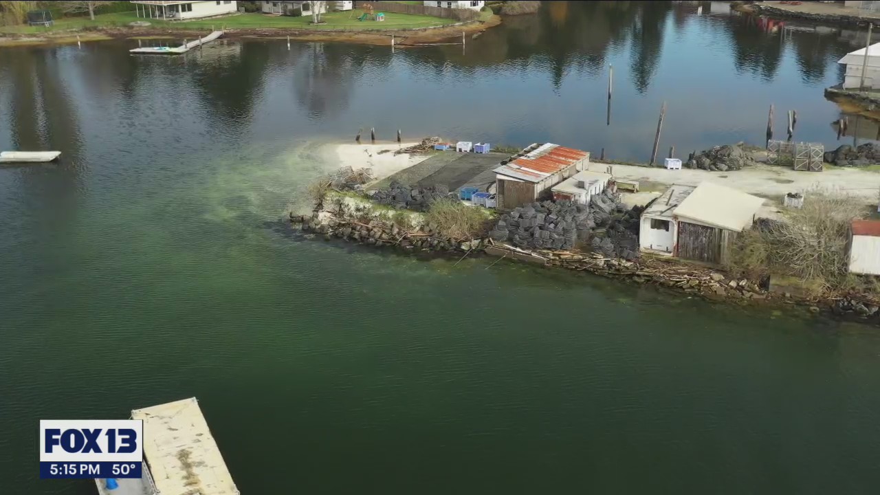 Neighbors worry geoduck farm will industrialize tranquil lagoon