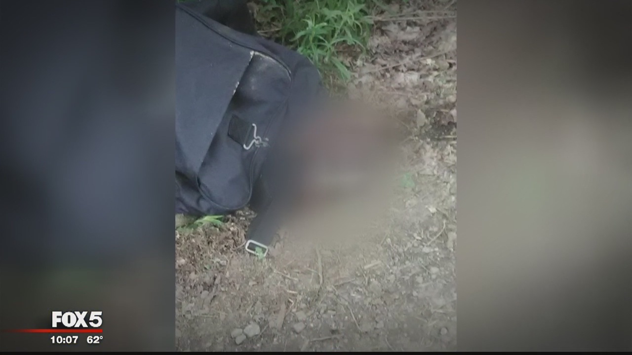 Pit bulls found dead inside duffel bag, plastic storage container