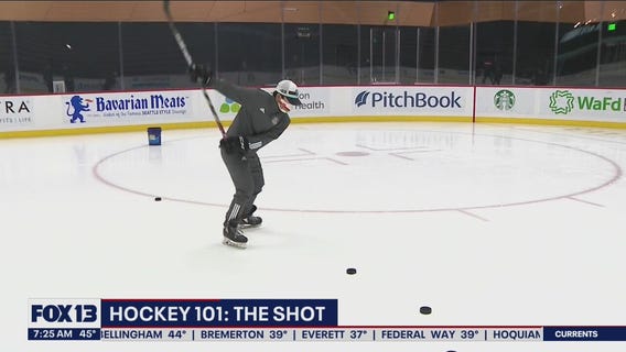 Hockey 101: The Shot
