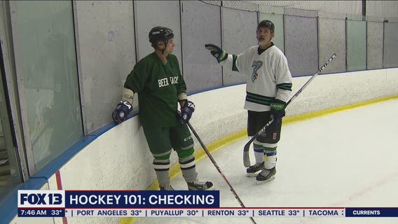 Hockey 101: Checking