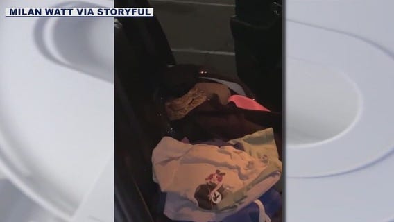AZ couple finds rattlesnake in backseat of their car