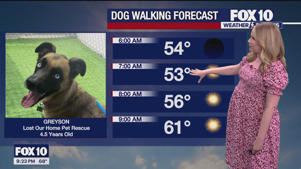 Weekend Weather Forecast