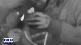 Lynnwood mom shocked by dog sitter's actions caught on home surveillance