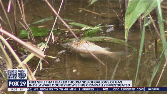 Officials contend with potential environmental impacts of Brookhaven fuel leak; open criminal investigation