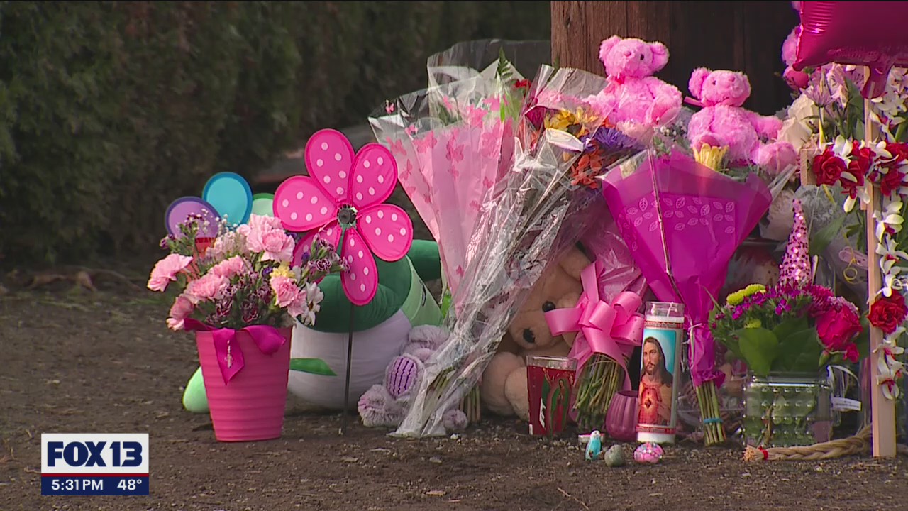 Community holds candlelight vigil for girl killed in hit-and-run