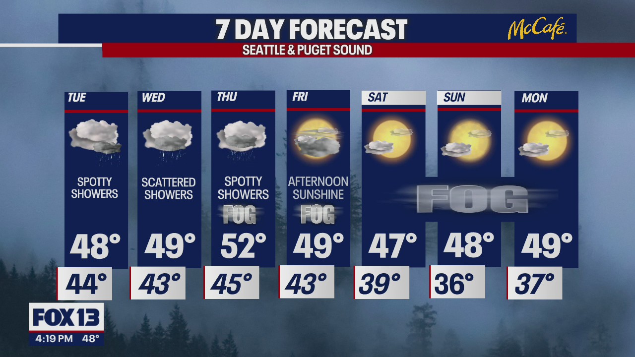 Foggy and calm weather this week