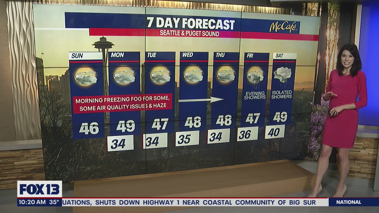 The sun is here to stay this week