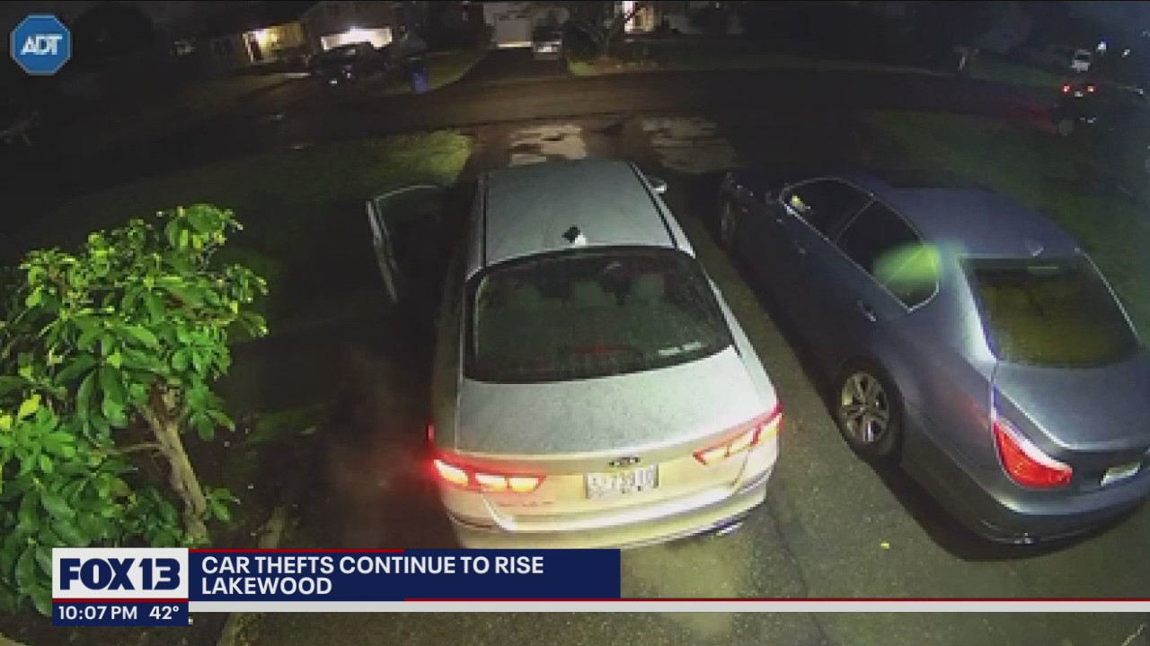 ?What are we supposed to do," woman watches thief steal her car