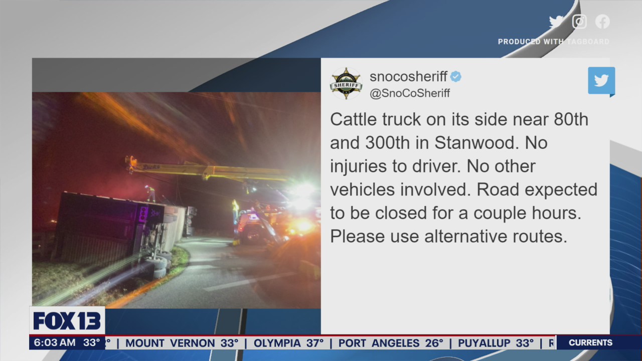 Cattle truck crashes, lands on its side in Stanwood
