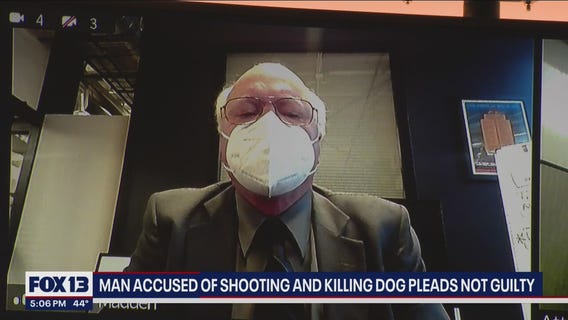 Man accused of shooting and killing dog in front of young girl pleads not guilty
