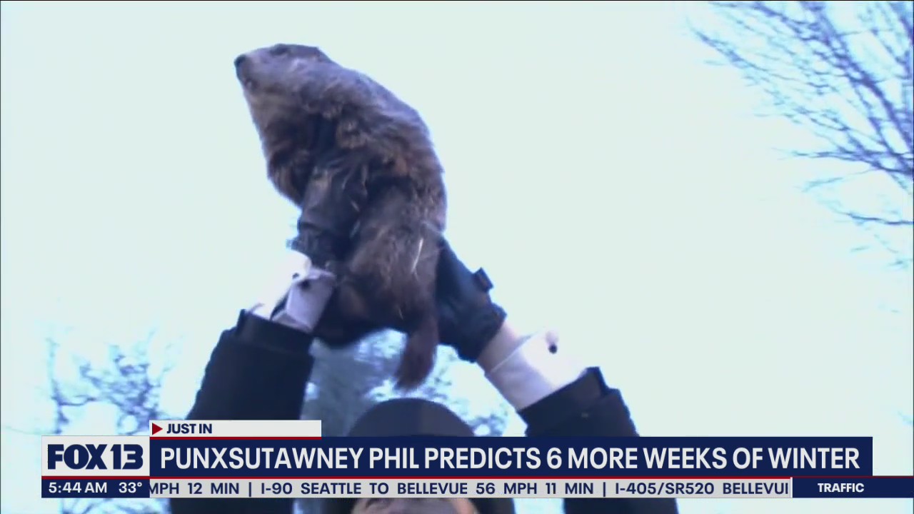 Punxsutawney Phil predicts 6 more weeks of winter