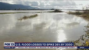 US flood losses to spike 26% by 2050
