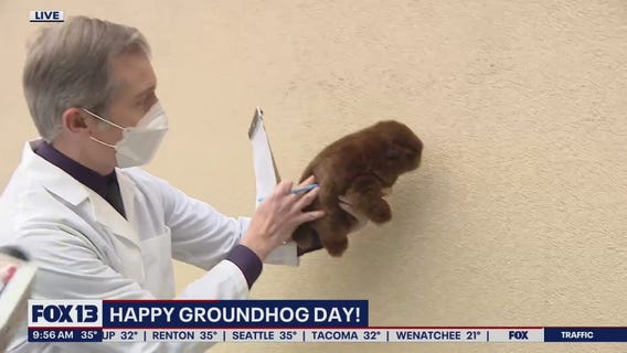 Happy Groundhog Day: Will FOX 13's mountain beaver see her shadow?