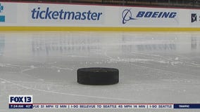Hockey 101: The hockey puck