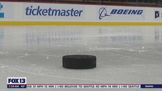 Hockey 101: The hockey puck