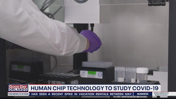 Search for Solutions: Human chip technology to study COVID-19