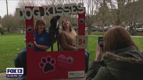 Valentine's Day kissing booth for you and your dog
