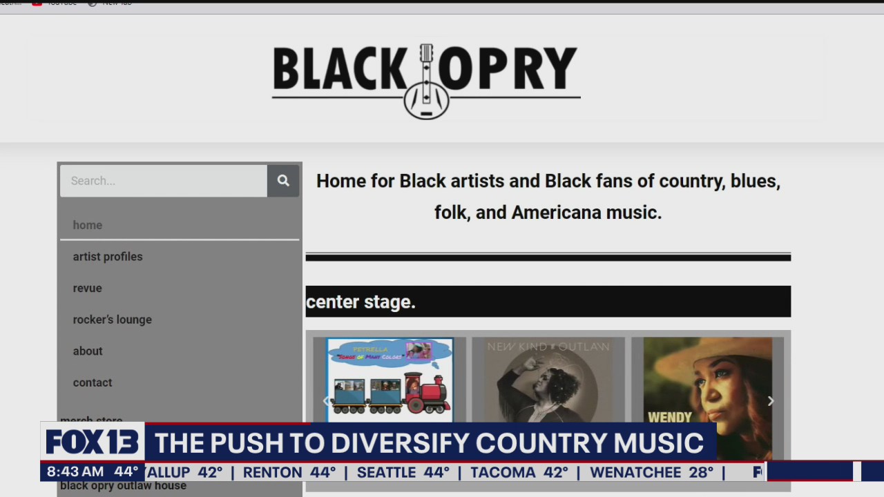 Push to diversify country music