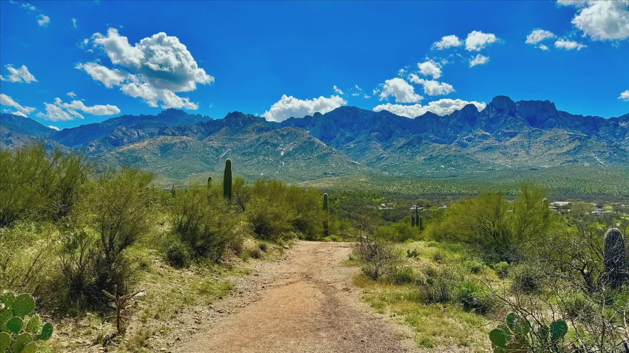 Drone video photography; D-Backs odds | FOX 10 Talks