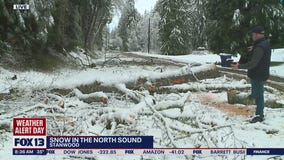 Heavy snow brings down trees in Stanwood area