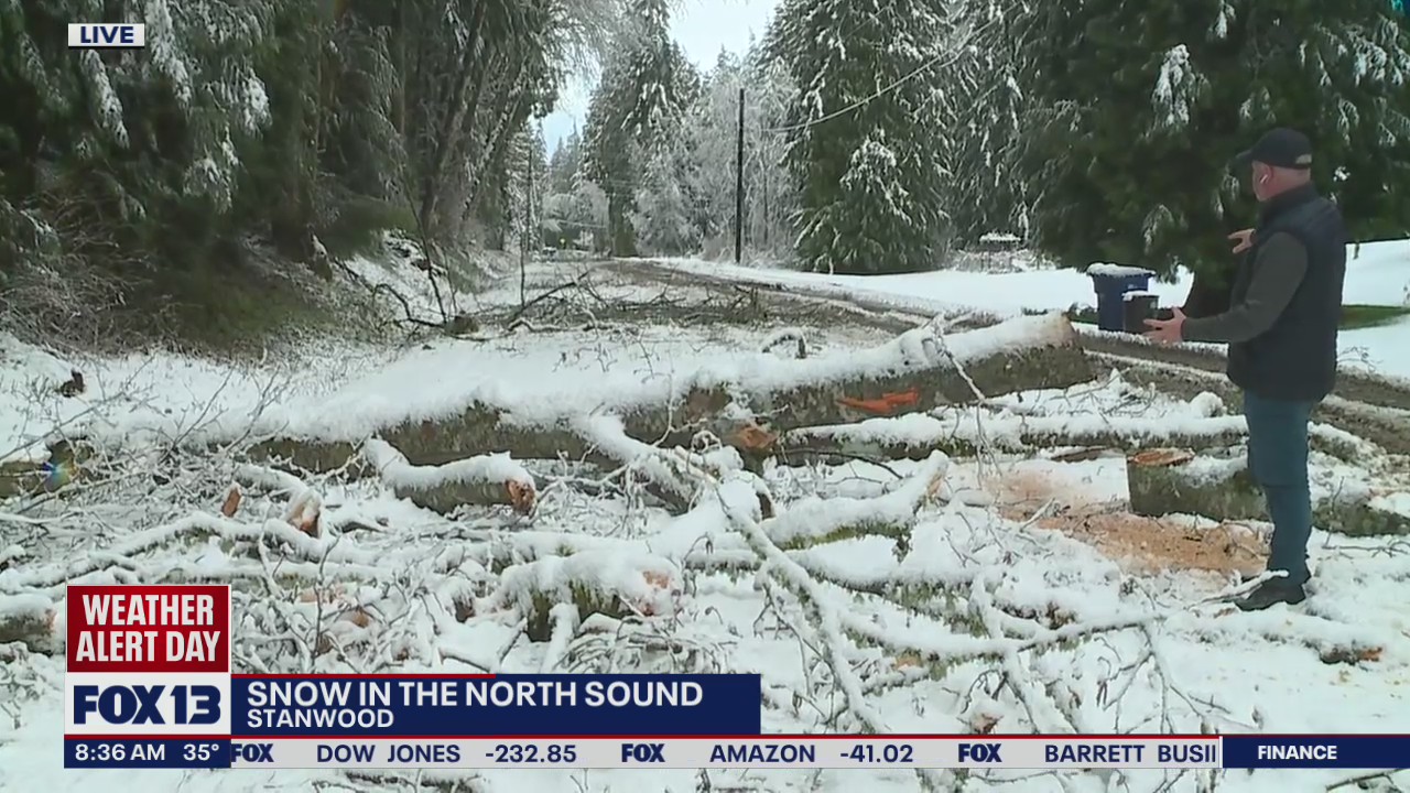 Heavy snow brings down trees in Stanwood area