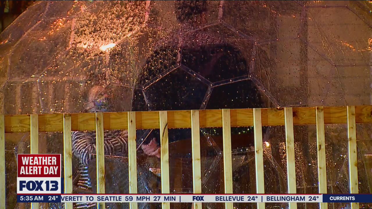 Seattle City Council extends outdoor dining permits through January