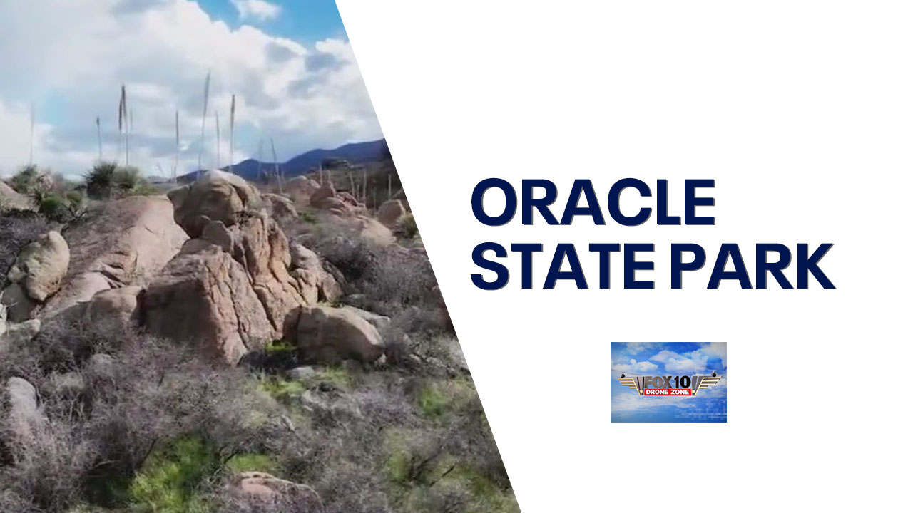 Oracle State Park | Drone Zone