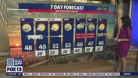 Weekend to start chilly, foggy with afternoon sunshine