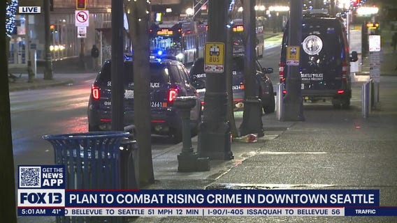 Plan to combat rising crime in Downtown Seattle